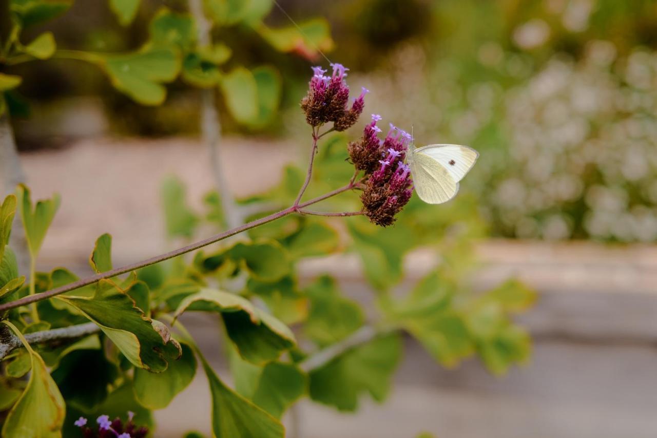 Twin Ginkgo Villa Giverny Dış mekan fotoğraf